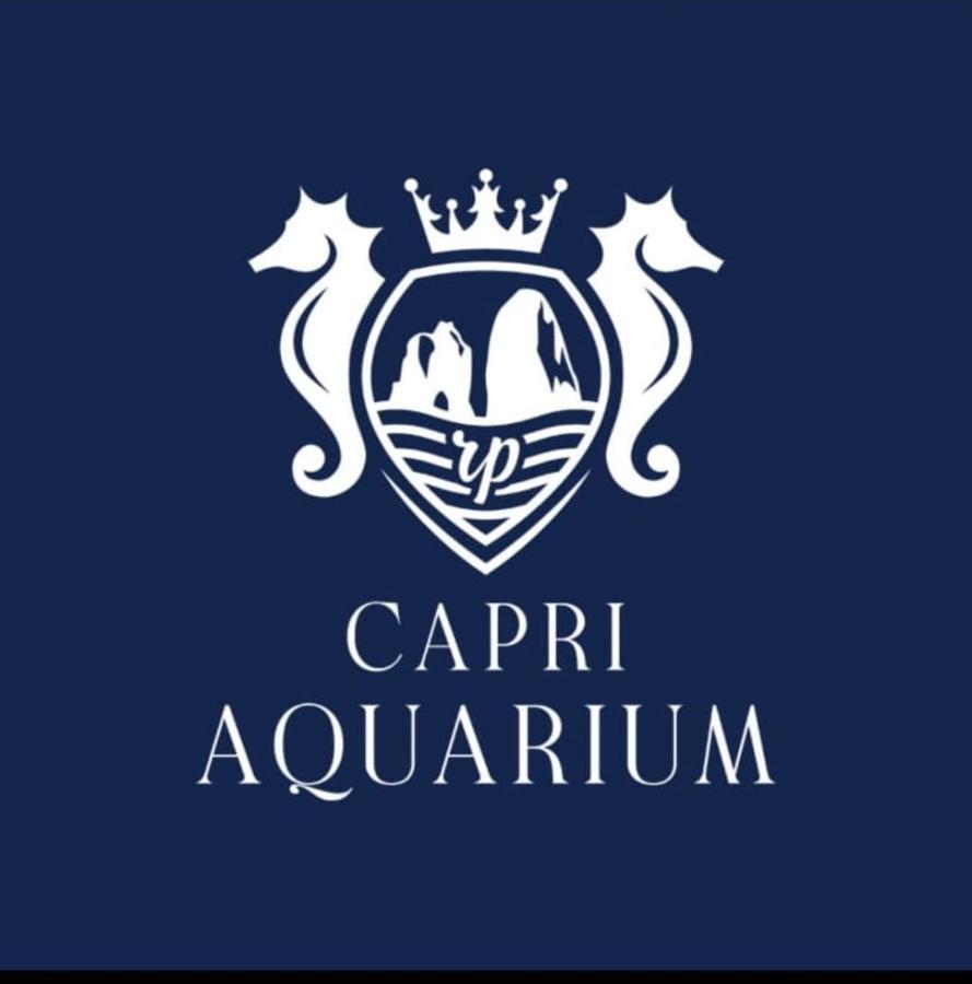 Capri Aquarium Family - Vacation Home Bagian luar foto